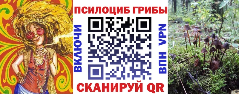 Купить закладки Заинск Псилоцибиновые грибы мухоморы